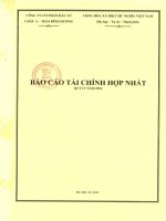 Báo cáo tài chính hợp nhất quý 4 năm 2012 - Công ty Cổ phần Đầu tư Châu Á - Thái Bình Dương