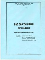 Báo cáo tài chính quý 2 năm 2015 - Công ty cổ phần Khoáng sản Á Châu
