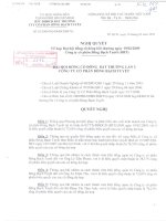 Nghị quyết đại hội cổ đông ngày 19-02-2009 - Công ty Cổ phần Bông Bạch Tuyết