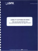 Báo cáo tài chính công ty mẹ năm 2011 (đã kiểm toán) - Công ty Cổ phần Gò Đàng