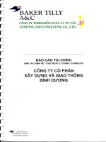 Báo cáo tài chính năm 2010 (đã kiểm toán) - Công ty Cổ phần Xây dựng và Giao thông Bình Dương