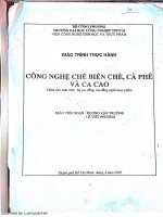 Giáo trình thực hành chè cafe cacao IUH đại học công nghiệp TP HCM