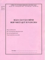 Báo cáo tài chính hợp nhất quý 2 năm 2014 - Công ty Cổ phần Khoáng sản Bắc Kạn