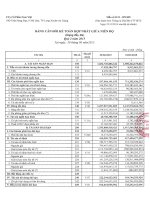 Báo cáo tài chính hợp nhất quý 2 năm 2015 - Công ty Cổ phần Nam Việt