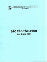 Báo cáo tài chính quý 4 năm 2010 - Công ty Cổ phần Xây dựng và Giao thông Bình Dương