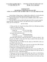 Nghị quyết đại hội cổ đông ngày 06-06-2009 - Công ty Cổ phần Chế tạo Biến thế và Vật liệu điện Hà Nội