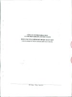 Báo cáo tài chính quý 2 năm 2011 (đã soát xét) - Công ty Cổ phần Khai thác và Chế biến Khoáng sản Bắc Giang