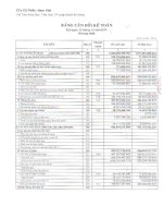 Báo cáo tài chính hợp nhất quý 4 năm 2011 - Công ty Cổ phần Nam Việt