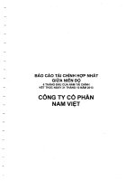 Báo cáo tài chính hợp nhất quý 2 năm 2013 (đã soát xét) - Công ty Cổ phần Nam Việt