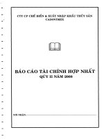 Báo cáo tài chính quý 2 năm 2008 - Công ty Cổ phần Chế biến và Xuất nhập khẩu Thủy sản CADOVIMEX