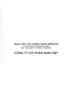 Báo cáo tài chính công ty mẹ quý 2 năm 2015 (đã soát xét) - Công ty Cổ phần Nam Việt