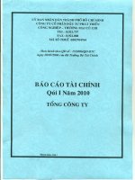 Báo cáo tài chính quý 1 năm 2010 - Công ty Cổ phần Đầu tư Phát triển Công nghiệp - Thương mại Củ Chi