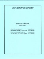 Báo cáo tài chính quý 1 năm 2016 - Công ty cổ phần Khoáng sản Bình Định