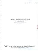 Báo cáo tài chính công ty mẹ quý 2 năm 2015 (đã soát xét) - Công ty cổ phần Bamboo Capital