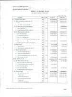 Báo cáo tài chính quý 4 năm 2010 - Công ty Cổ phần Chiếu xạ An Phú