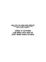Báo cáo tài chính quý 2 năm 2012 (đã soát xét) - Công ty Cổ phần Chế biến và Xuất nhập khẩu Thuỷ sản Cà Mau