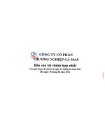 Báo cáo tài chính hợp nhất quý 2 năm 2011 - Công ty Cổ phần Thương nghiệp Cà Mau