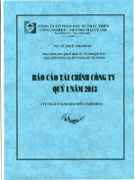 Báo cáo tài chính công ty mẹ quý 1 năm 2013 - Công ty Cổ phần Đầu tư Phát triển Công nghiệp - Thương mại Củ Chi