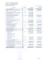 Báo cáo tài chính công ty mẹ quý 3 năm 2010 - Công ty Cổ phần Gò Đàng