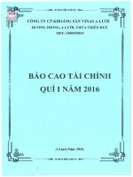 Báo cáo tài chính quý 1 năm 2016 - Công ty Cổ phần Khoáng sản Vinas A Lưới