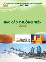 Báo cáo thường niên năm 2015 - Công ty cổ phần Đầu tư và Phát triển Công nghiệp Bảo Thư