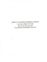 Báo cáo tài chính hợp nhất quý 4 năm 2015 - Công ty cổ phần Bamboo Capital