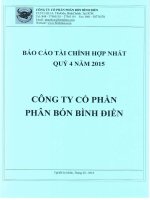Báo cáo tài chính hợp nhất quý 4 năm 2015 - Công ty cổ phần Phân bón Bình Điền
