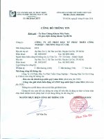 Báo cáo tài chính hợp nhất quý 1 năm 2016 - Công ty Cổ phần Đầu tư Phát triển Công nghiệp - Thương mại Củ Chi