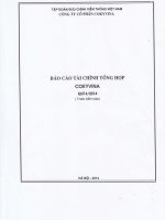 Báo cáo tài chính quý 4 năm 2014 - Công ty Cổ phần COKYVINA
