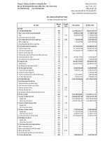 Báo cáo tài chính quý 2 năm 2011 - Công ty Cổ phần Xi măng Bỉm Sơn