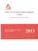 Báo cáo thường niên năm 2013 - Công ty Cổ phần Chứng khoán ALPHA