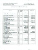 Báo cáo tài chính quý 2 năm 2011 - Công ty Cổ phần Chứng khoán Nông nghiệp và Phát triển Nông thôn