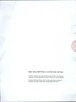 Báo cáo tài chính hợp nhất quý 3 năm 2012 - Ngân hàng Thương mại cổ phần Đầu tư và Phát triển Việt Nam