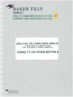 Báo cáo tài chính công ty mẹ quý 2 năm 2013 (đã soát xét) - Công ty Cổ phần Beton 6