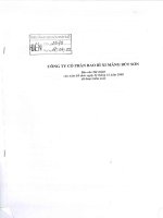 Báo cáo tài chính năm 2008 (đã kiểm toán) - Công ty cổ phần VICEM Bao bì Bút Sơn