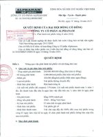 Nghị quyết đại hội cổ đông ngày 19-10-2010 - Công ty Cổ phần Đầu tư Alphanam