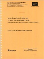 Báo cáo tài chính hợp nhất năm 2013 (đã kiểm toán) - Công ty cổ phần Phân bón Bình Điền