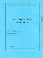 Báo cáo tài chính quý 1 năm 2015 - Công ty Cổ phần Khoáng sản Bắc Kạn