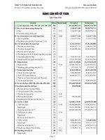 Báo cáo tài chính quý 1 năm 2012 - Công ty Cổ phần Thủy sản Bạc Liêu