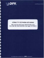 Báo cáo tài chính hợp nhất năm 2011 (đã kiểm toán) - Công ty Cổ phần Gò Đàng