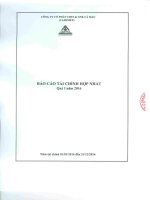 Báo cáo tài chính hợp nhất quý 1 năm 2016 - Công ty Cổ phần Chế biến và Xuất nhập khẩu Thuỷ sản Cà Mau