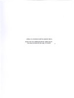 Báo cáo tài chính năm 2010 (đã kiểm toán) - Công ty Cổ phần Chứng khoán BETA