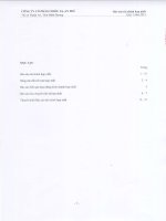 Báo cáo tài chính hợp nhất quý 1 năm 2013 - Công ty Cổ phần Chiếu xạ An Phú