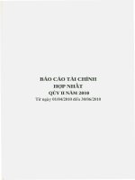 Báo cáo tài chính hợp nhất quý 2 năm 2010 - Công ty Cổ phần Chế biến và Xuất nhập khẩu Thủy sản CADOVIMEX