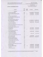 Báo cáo tài chính quý 2 năm 2012 - Công ty Cổ phần Khoáng sản Vinas A Lưới