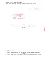 Báo cáo tài chính năm 2012 (đã kiểm toán) - Công ty Cổ phần Nhiệt điện Bà Rịa