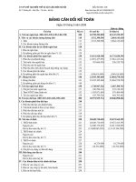 Báo cáo tài chính quý 3 năm 2009 - Công ty Cổ phần Chế tạo Biến thế và Vật liệu điện Hà Nội