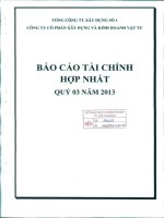 Báo cáo tài chính hợp nhất quý 3 năm 2013 - Công ty Cổ phần Xây dựng và Kinh doanh Vật tư