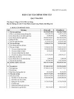 Báo cáo tài chính quý 1 năm 2010 - Công ty Cổ phần Cà phê An Giang