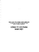 Báo cáo tài chính công ty mẹ quý 2 năm 2011 (đã soát xét) - Công ty Cổ phần Nam Việt